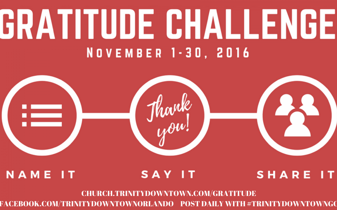 Gratitude Challenge Starts Today