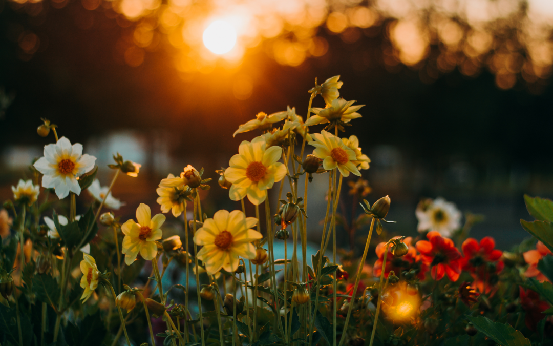 Trinity Weekly – May 1, 2022