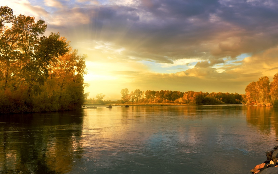 Trinity Weekly – September 11, 2022