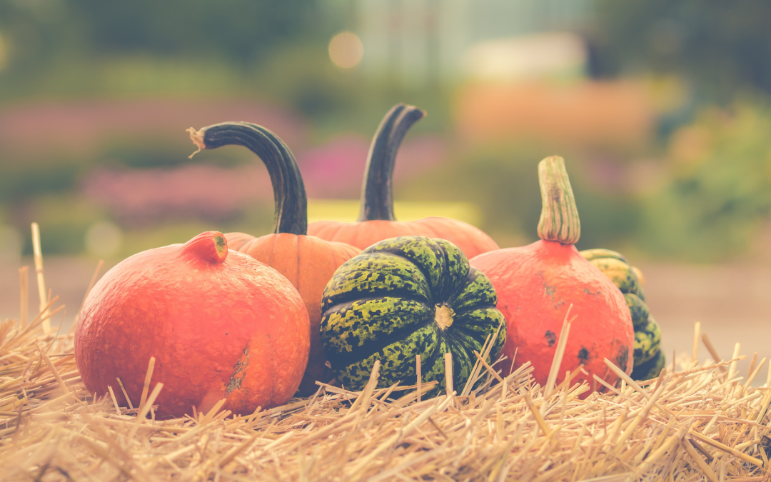 Trinity Weekly – October 23, 2022