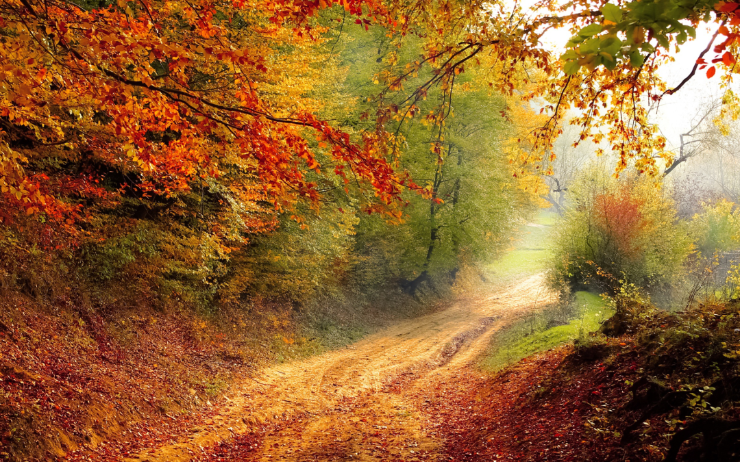 Trinity Weekly – October 7, 2022